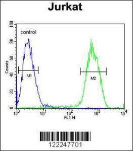 Anti-PCDHGC3 Rabbit Polyclonal Antibody