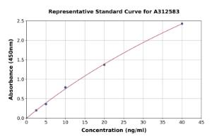 Representative standard curve for Mouse Retinoic Acid Receptor alpha ELISA kit (A312583)