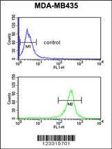 Anti-EXTL3 Rabbit Polyclonal Antibody (AP (Alkaline Phosphatase))