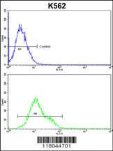 Anti-CFLAR Rabbit Polyclonal Antibody