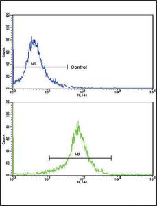 Anti-SOD3 Rabbit Polyclonal Antibody