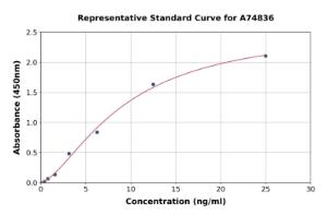 Representative standard curve for Human IGFBP3 ELISA kit (A74836)