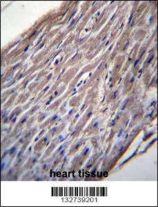 Anti-BVES Rabbit Polyclonal Antibody (FITC (Fluorescein Isothiocyanate))