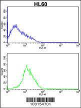 Anti-CDK4 Rabbit Polyclonal Antibody (AP (Alkaline Phosphatase))