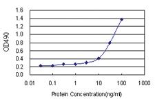 Anti-C4BPB Polyclonal Antibody Pair