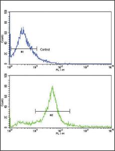 Anti-ERBB3 Rabbit Polyclonal Antibody (FITC (Fluorescein))