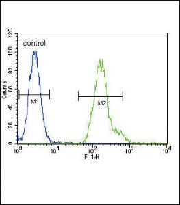 Anti-CEBPA Rabbit Polyclonal Antibody (HRP (Horseradish Peroxidase))