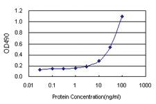 Anti-PTPN2 Polyclonal Antibody Pair