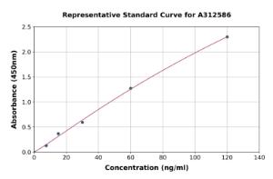 Representative standard curve for Human NPHS2 ELISA kit (A312586)