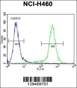 Anti-LCN9 Rabbit Polyclonal Antibody (PE (Phycoerythrin))