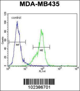 Anti-MECP2 Rabbit Polyclonal Antibody (HRP (Horseradish Peroxidase))