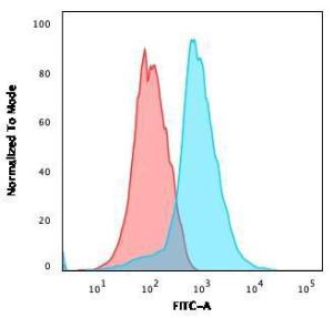 Anti-CD31 antibody