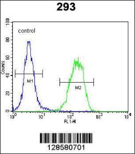 Anti-C1QTNF9B-AS1 Rabbit Polyclonal Antibody (PE (Phycoerythrin))