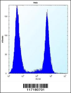 Anti-BRAF Rabbit Polyclonal Antibody (FITC (Fluorescein))