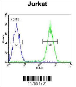 Anti-ITGAM Rabbit Polyclonal Antibody (AP (Alkaline Phosphatase))