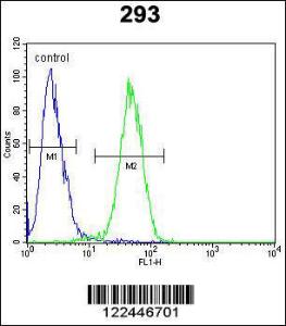 Anti-CLDN12 Rabbit Polyclonal Antibody (HRP (Horseradish Peroxidase))