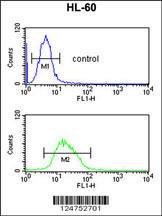 Anti-RNH2C Rabbit Polyclonal Antibody (APC (Allophycocyanin))