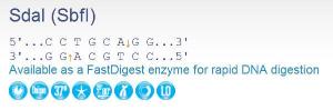 FERMER1192 - ENZYME SDAI 1500 UNITS