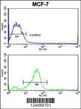 Anti-CHMP4B Rabbit Polyclonal Antibody (APC (Allophycocyanin))