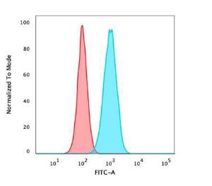 Flow cytometric analysis of PFA fixed HeLa cells using Anti-p40 Antibody [TP40/3980R] followed by Goat Anti-Rabbit IgG (CF&#174; 488) (Blue). Isotype Control (Red)