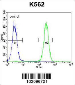 Anti-BAI1 Rabbit Polyclonal Antibody (Biotin)