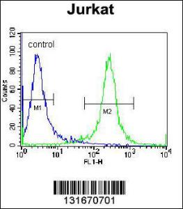 Anti-PDE3B Rabbit Polyclonal Antibody (HRP (Horseradish Peroxidase))