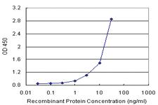 Anti-FGF21 Polyclonal Antibody Pair