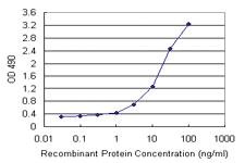 Anti-CNN1 Mouse Monoclonal Antibody (Biotin)