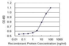 Anti-FGF21 Rabbit Polyclonal Antibody (Biotin)