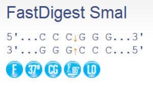 SmaI, FastDigest™, Fermentas