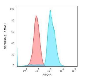 Flow cytometric analysis of Jurkat cells using Anti-CD45RA Antibody [SPM568] followed by Goat Anti-Mouse IgG (CF&#174; 488) (Blue). Isotype Control (Red)