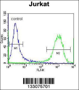 Anti-ZSCAN2 Rabbit Polyclonal Antibody (APC (Allophycocyanin))