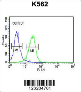 Anti-CLDN15 Rabbit Polyclonal Antibody (APC (Allophycocyanin))