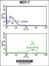 Anti-CHPF Rabbit Polyclonal Antibody (APC (Allophycocyanin))