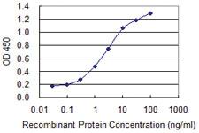 Anti-TCEAL1 Mouse Monoclonal Antibody [clone: 3B9]