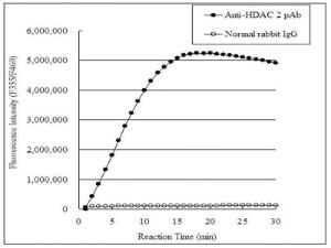 Anti-HDAC2 Rabbit Polyclonal Antibody