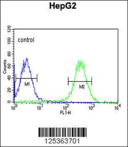 Anti-ARSI Rabbit Polyclonal Antibody (APC (Allophycocyanin))