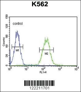 Anti-CNGA2 Rabbit Polyclonal Antibody