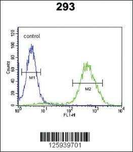 Anti-CCR1 Rabbit Polyclonal Antibody