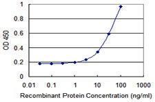 Anti-FZR1 Mouse monoclonal antibody unconjugated [clone: 4C4]