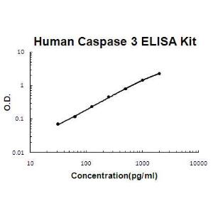 PicoKine Human Caspase 3; ELISA Kit