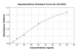 Representative standard curve for Human INSL5 ELISA kit (A312592)