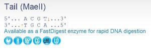 FERMER1142 - ENZYME TAII 2000 UNITS