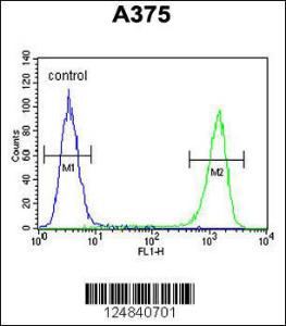 Anti-FA96B Rabbit Polyclonal Antibody (APC (Allophycocyanin))