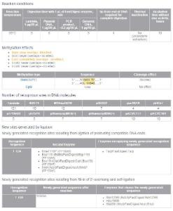 FERMFD0674 - ENZYME FD TAQI 400µL (400RXN)