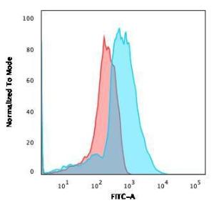 Flow cytometric analysis of PFA fixed HEK293 cells using Anti-TNFSF9 Antibody [CD137L/1547] followed by Goat Anti-Mouse IgG (CFand#174; 488) (Blue). Isotype Control (Red)