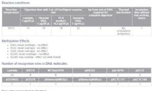 FERMFD1294 - ENZYME FD TATI 20µL (20RXN)