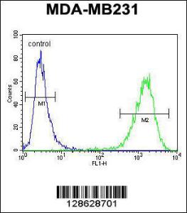 Anti-CF150 Rabbit Polyclonal Antibody (APC (Allophycocyanin))