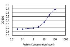 Anti-PTPN6 Polyclonal Antibody Pair