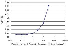 Anti-CD209 Polyclonal Antibody Pair